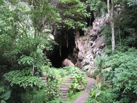 Cuevas de Guácharo, Venezuela 0