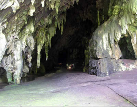 Cuevas de Guácharo, Venezuela 🗺️ Foro América del Sur y Centroamérica 0