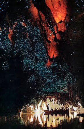 Cuevas de Waitomo, Waikato, Nueva Zelanda 1