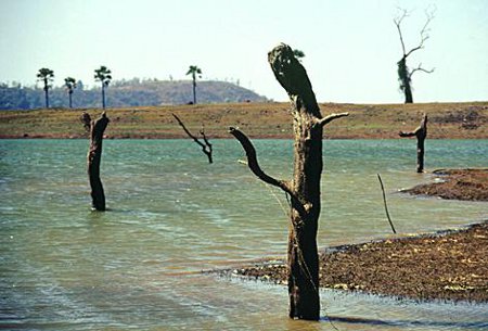 Dadra y Nagar Hevali, India 1