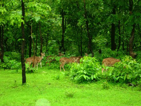 Dadra y Nagar Hevali, India 0