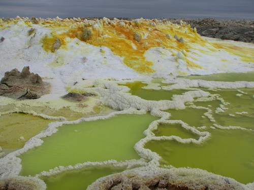 DANAKIL- Galería de arte natural 0