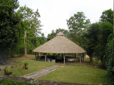 Santuario Natural de Dandeli, Karnataka, India 1