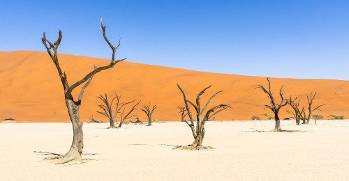 Desierto Dead Vlei, Sossusvlei, Namibia 0