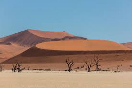 Desierto Dead Vlei, Sossusvlei, Namibia 0