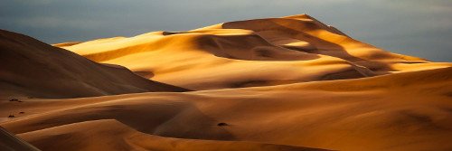 Desierto Dead Vlei, Sossusvlei, Namibia 🗺️ Foro África 1