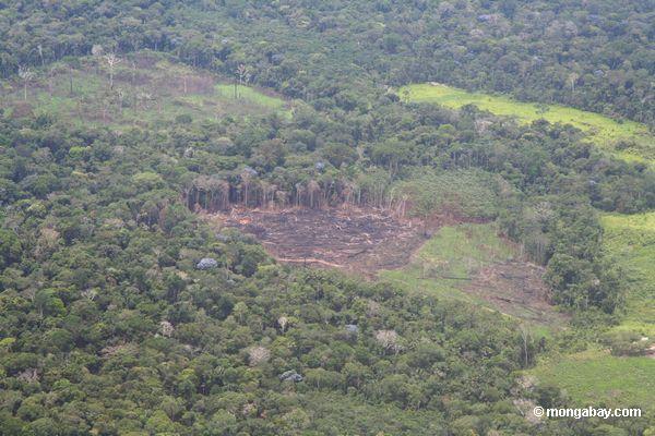 Desastre del Exxon Valdez 🗺️ Foro Clima, Naturaleza, Ecologia y Medio Ambiente 1