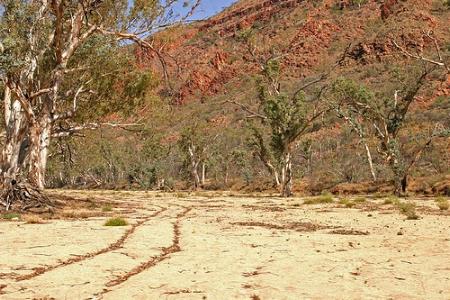 Desierto de Simpson, Australia el desierto rojo 🗺️ Foro Oceanía 0