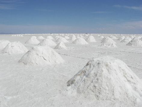 Isla del pescado -Salar Uyuni,Bolivia 1