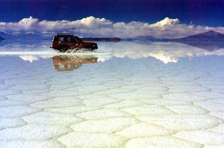 Isla del pescado -Salar Uyuni,Bolivia 0