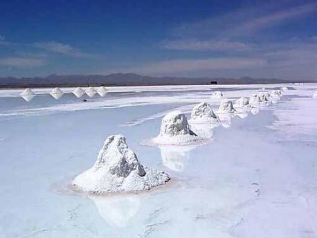 Isla del pescado -Salar Uyuni,Bolivia 🗺️ Foro América del Sur y Centroamérica 2