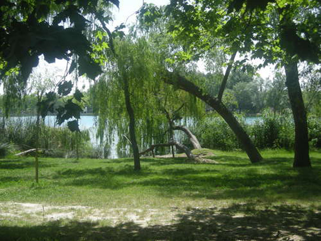 BANYOLES- Paseando por el lago. 0