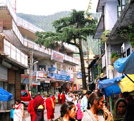 Dharamsala, Himachal Pradesh, India 0