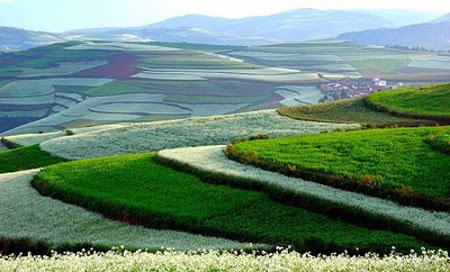 La tierra roja de Dongchuan, Yunnan, China 1