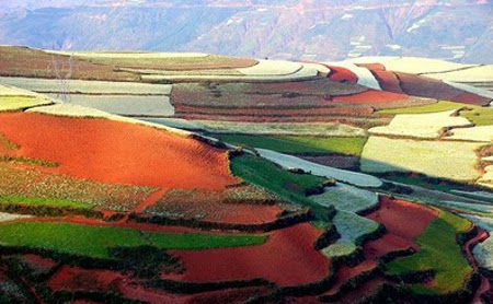 La tierra roja de Dongchuan, Yunnan, China 0