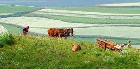 La tierra roja de Dongchuan, Yunnan, China 2