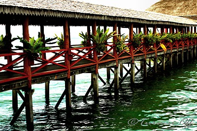 Hotel Dragon Inn Floating Resort, Malasia 0