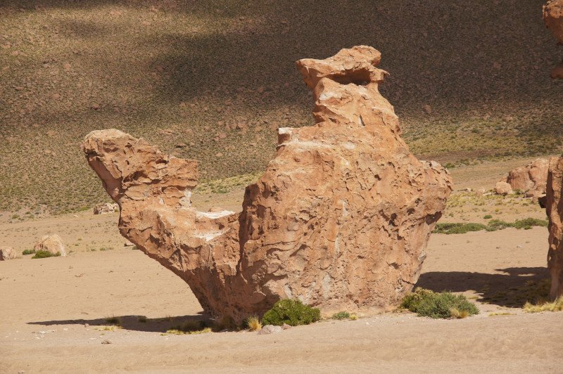 Roca del Camello - Valle de las Rocas y Laguna Negra, Bolivia