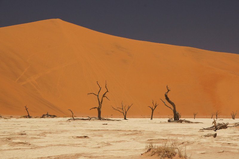 Deadvlei y la duna Big Daddy - Desierto del Namib