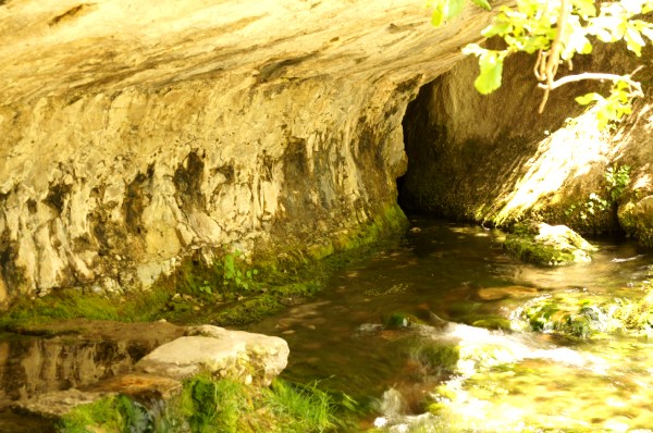 Nacimiento del rio Cuervo - Nacimiento