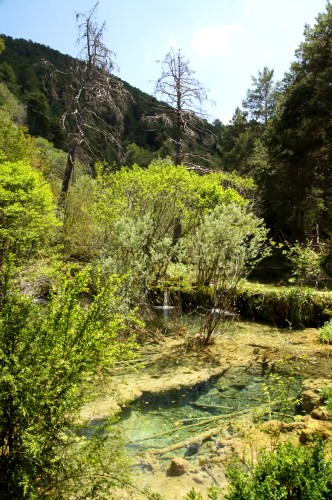 Nacimiento del Río Cuervo - Cuenca, Naturaleza-España (3)