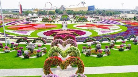 Dubai Miracle Garden. Dubai, Emiratos Arabes Unidos 1