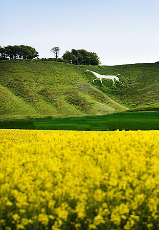 El caballo blanco Alton Barnes, G.Bretaña 0