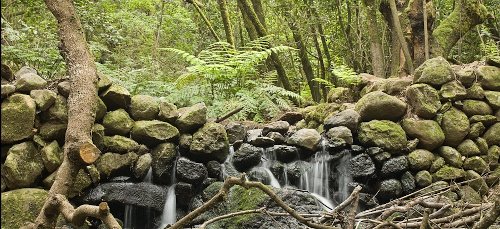 El Cedro, La Gomera, Canarias 🗺️ Foro España 0