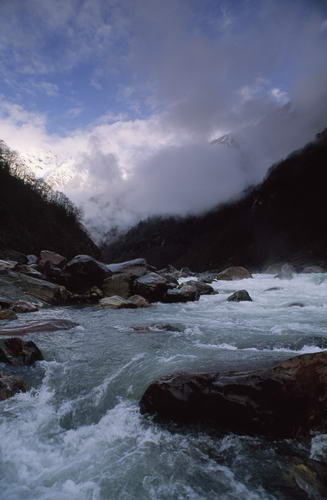 El gran cañón Yarlung Zangbo, China 1