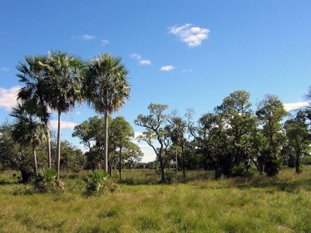 El Gran Chaco, Filadelfia, Paraguay 0