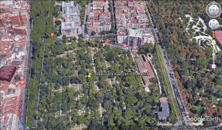 El Real Jardín Botánico, Madrid 🗺️ Foro España 2