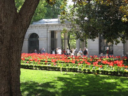 El Real Jardín Botánico, Madrid 0