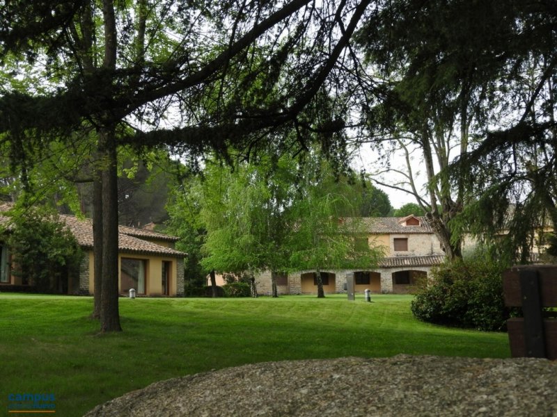 El Tiemblo, Ávila, Castilla y León (Foto 2)