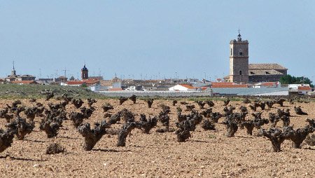 El Toboso, Toledo, Castilla La Mancha ⚠️ Ultimas opiniones 0