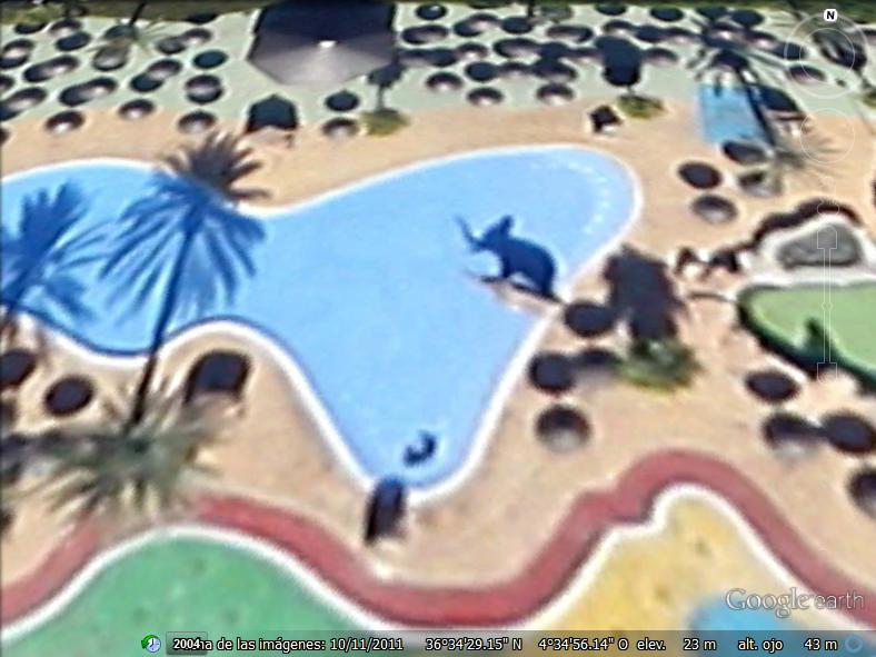 Elefante en una piscina de Malaga 1 - Piscina a dos niveles - Pozuelo de Alarcon - Madrid 🗺️ Foro General de Google Earth