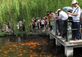Estanque de las Carpas Rojas, Hangzhou. Zhejiang, China ⚠️ Ultimas opiniones 1