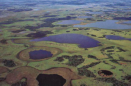 Esteros del Iberá, Corrientes, Argentina 0