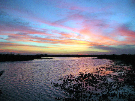 Esteros del Iberá, Corrientes, Argentina 1