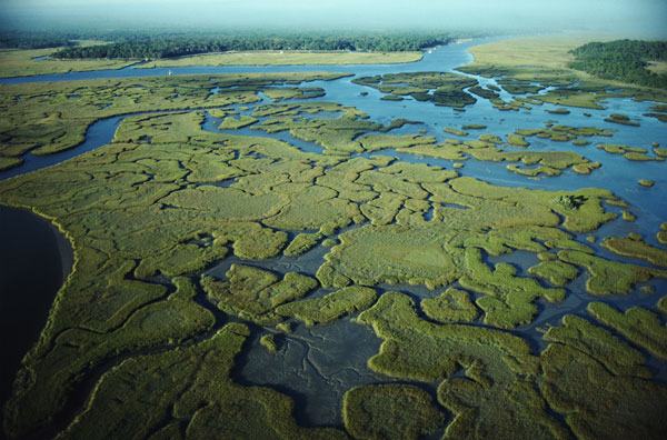 Parque Nacional de los Everglades 1