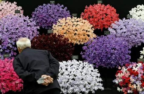 Exposición de Flores Chelsea, Gran Bretaña 1