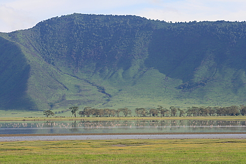 Cráter Ngorongoro 0