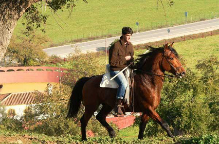 Finca Ambiciones, Prado del Rey, Cadiz, Andalucia 1