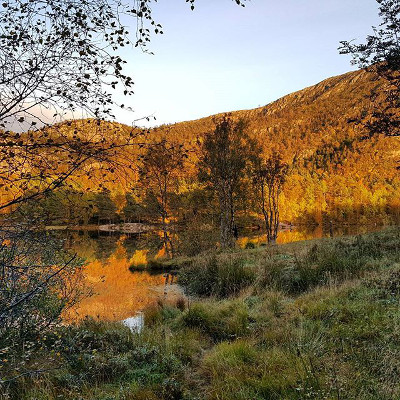 Fløyen, Bergen, Noruega 1