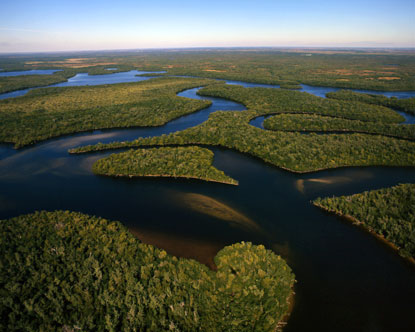 Parque Nacional de los Everglades 0