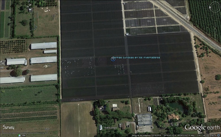 ¿Que es esto? Tuberias flotantes de 500m de logitud 🗺️ Foro General de Google Earth 1