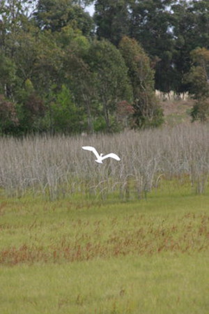 Fortin de Santa Rosa, Canelones, Uruguay 1