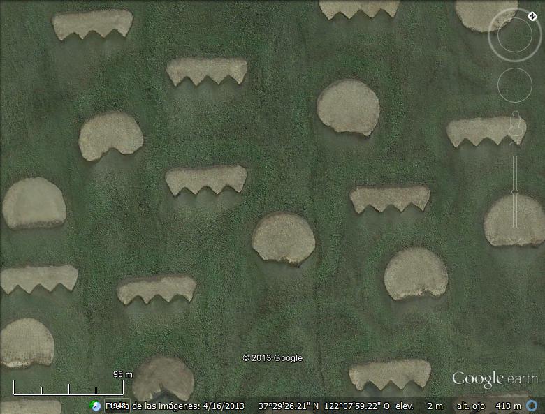 ¡¡¡Galletitas de Jengibre!!! 1 - Formas Curiosas a vista de Google Earth