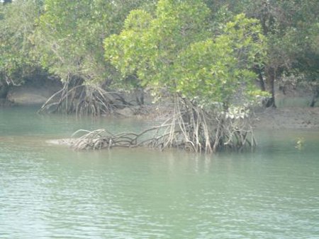 Ganjam, Orissa, India 0