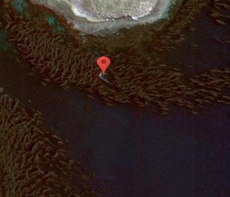 Lugar de hundimiento del GLENGOWAN, Islas Malvinas 0 - HMAS Otama - Royal Australian Navy (RAN) 🗺️ Foro General de Google Earth