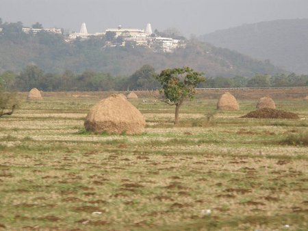 Godavari Orientali, Andhra Pradesh, India 🗺️ Foro Asia 1